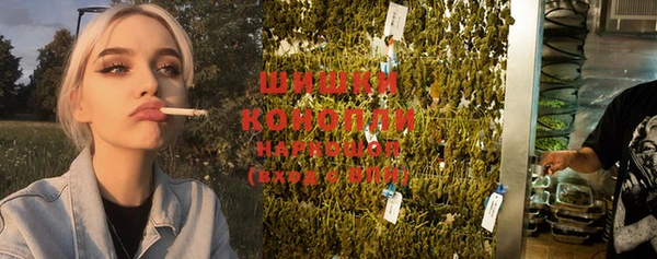 молекула духа Лагань