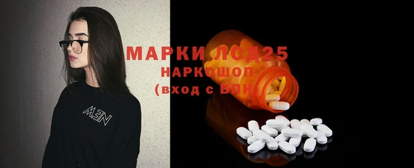 ГАЛЛЮЦИНОГЕННЫЕ ГРИБЫ Ладушкин
