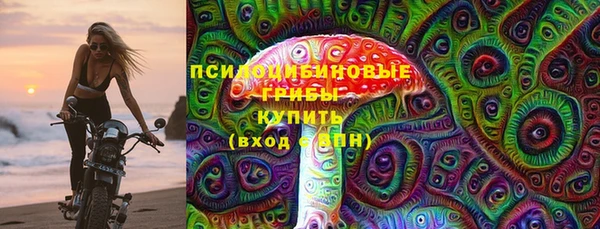 ГАЛЛЮЦИНОГЕННЫЕ ГРИБЫ Ладушкин