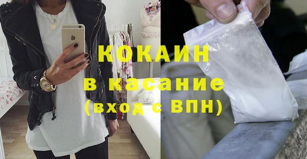 ГАЛЛЮЦИНОГЕННЫЕ ГРИБЫ Ладушкин