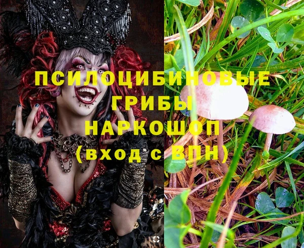 круглые Кукмор
