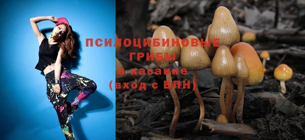 молекула духа Лагань