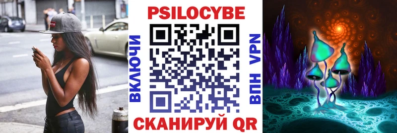 Псилоцибиновые грибы Cubensis  как найти закладки  Малгобек 