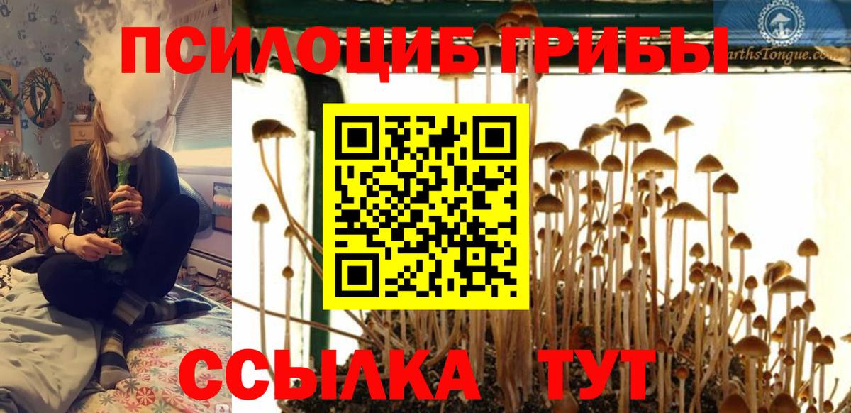 Малгобек  Галлюциногенные грибы ЛСД  Вход с VPN 