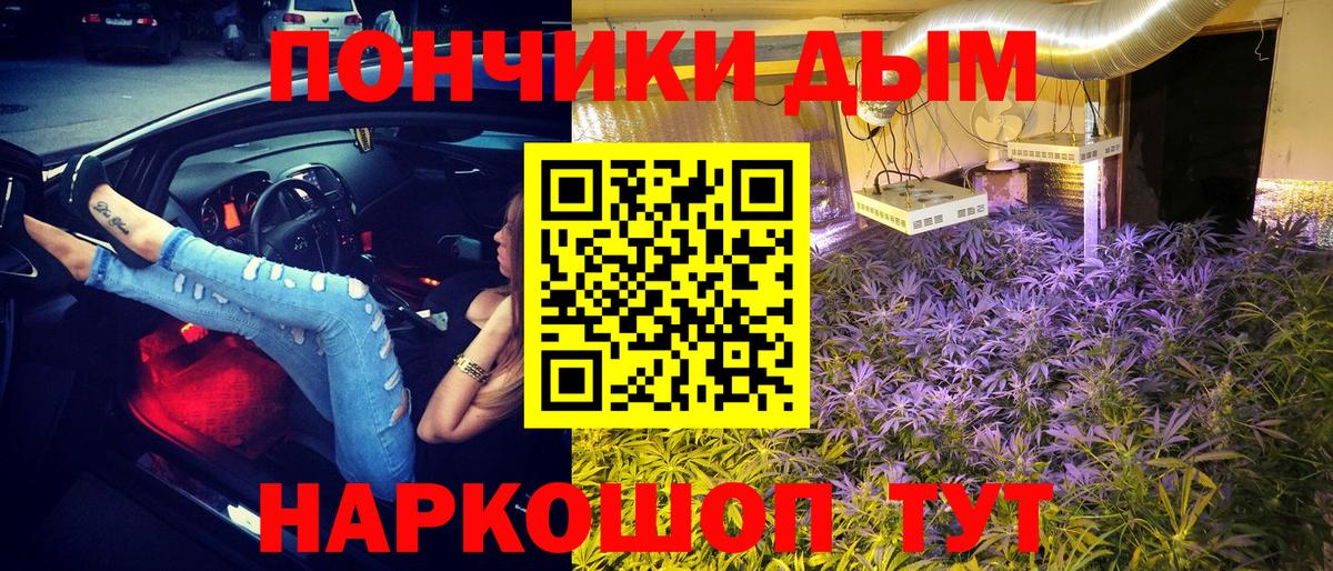 Канабис сатива Малгобек